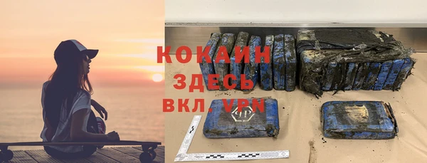 Альфа ПВП Пересвет