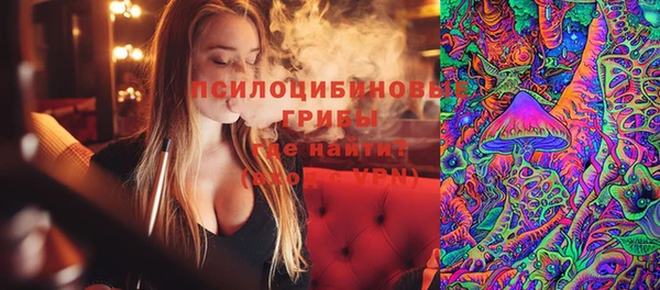PSILOCYBIN Переславль-Залесский