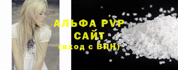 PSILOCYBIN Переславль-Залесский