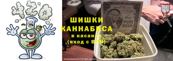 Альфа ПВП Пересвет