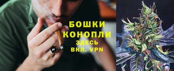 дмт Гвардейск