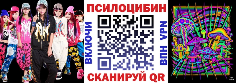 где купить наркотик  Каневская  Псилоцибиновые грибы ЛСД 